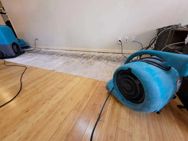 Professional Flood Damage Cleanup technician working in Washoe Valley, NV